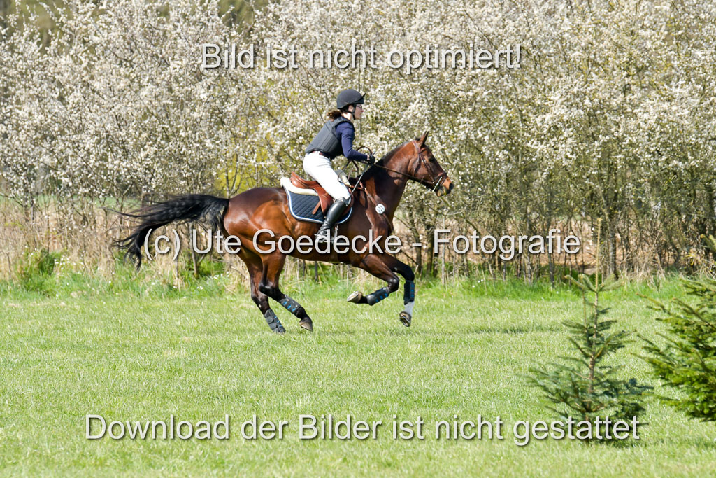 NG Eventing Elmenhorst 21.4.22 | Waidlein, nijucole - Campino_05