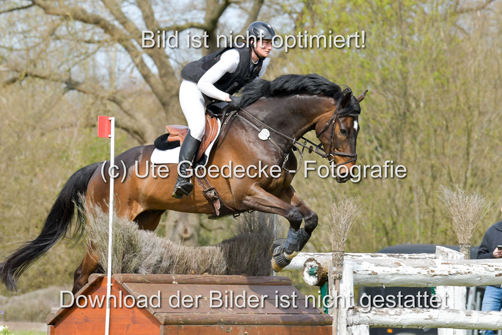 NG Eventing Elmenhorst  21.4.22 | Wewer, Jule - magic Mic_1 