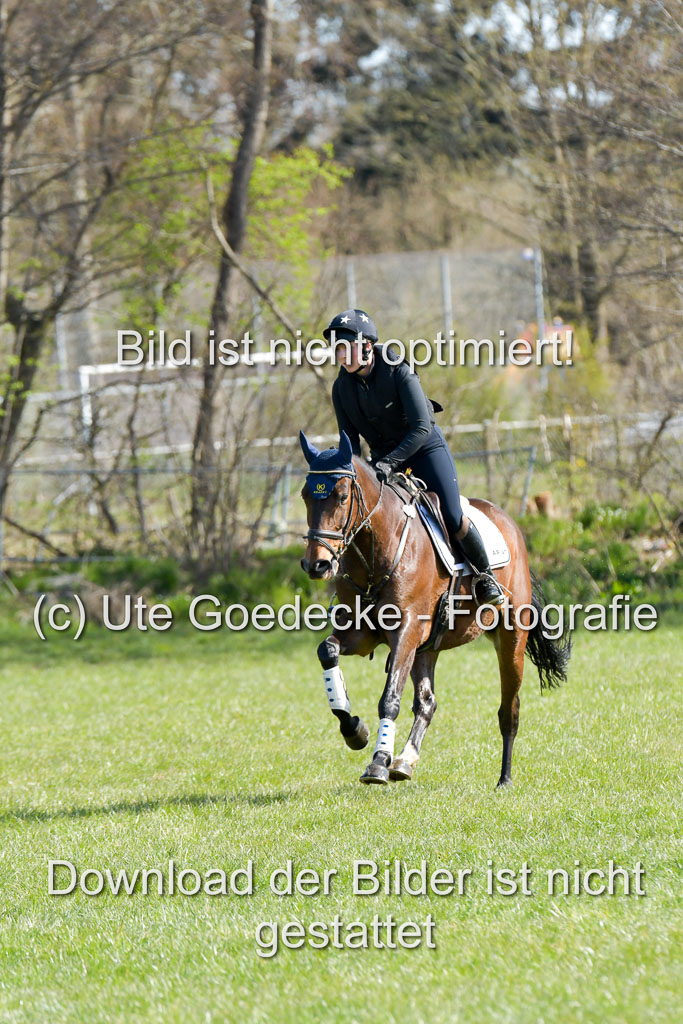 NG Eventing Elmenhorst 21.4.22 | Wikström, Hedwig - Kilbunny What Next_3