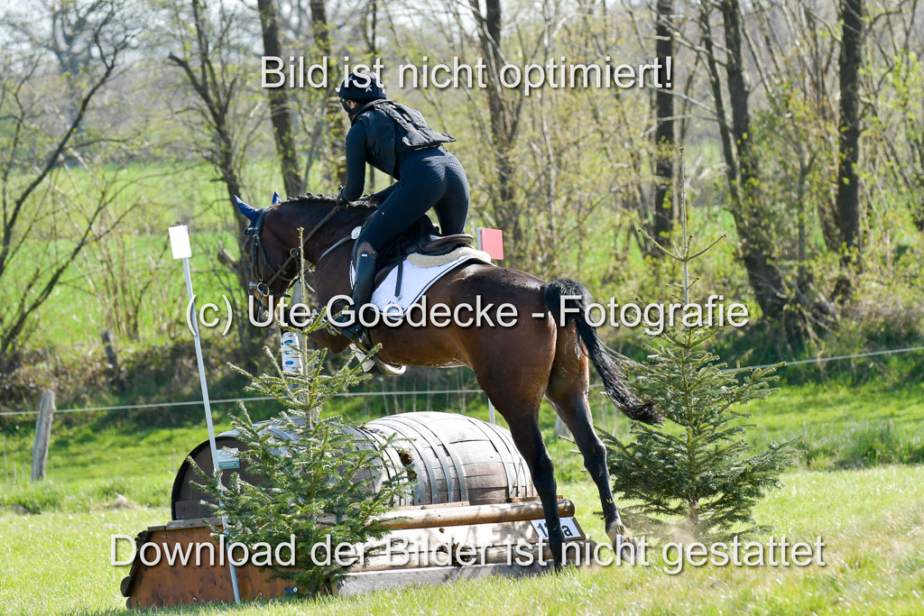 NG Eventing Elmenhorst 21.4.22 | Wikström, Hedwig - Kilbunny What Next_6
