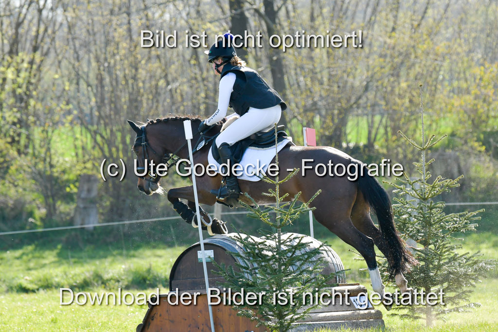 NG Eventing Elmenhorst 21.4.22 | Wittl, Emma - Hip Hop Hallah_05