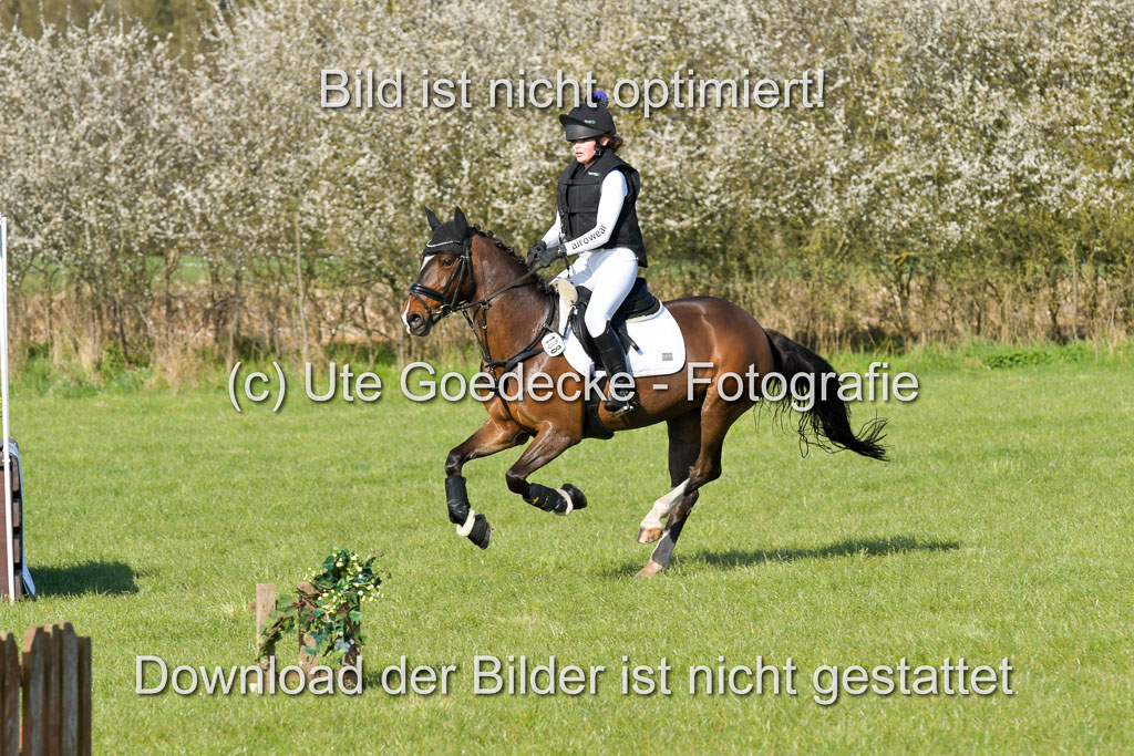 NG Eventing Elmenhorst  21.4.22 | Wittl, Emma - Hip Hop Hallah_07 