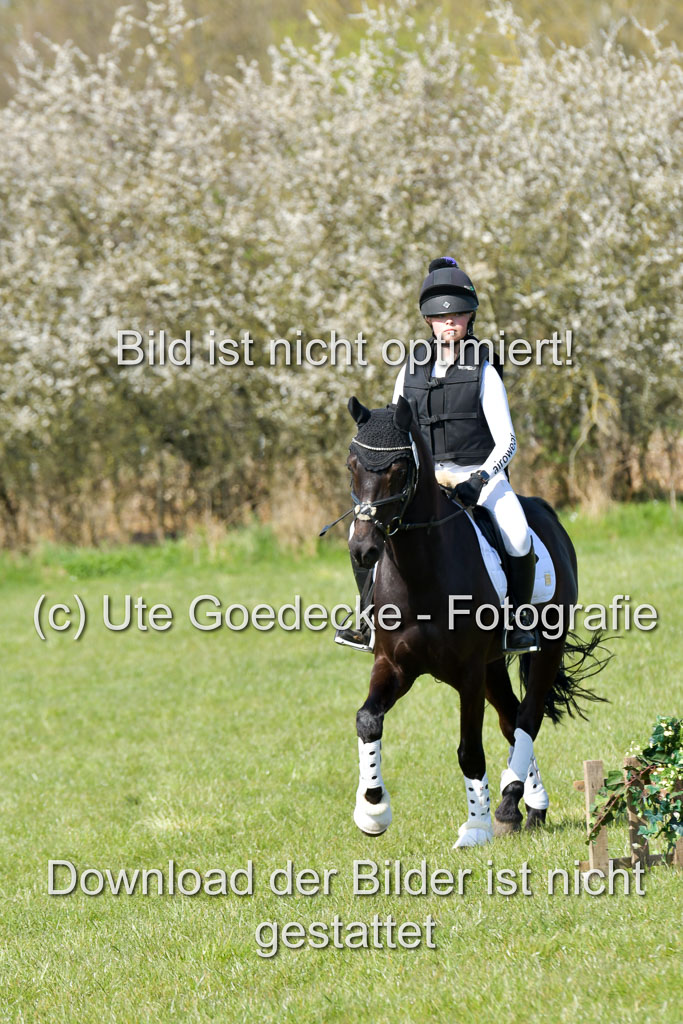 NG Eventing Elmenhorst  21.4.22 | Wittl, Emma - Nightfire_03 