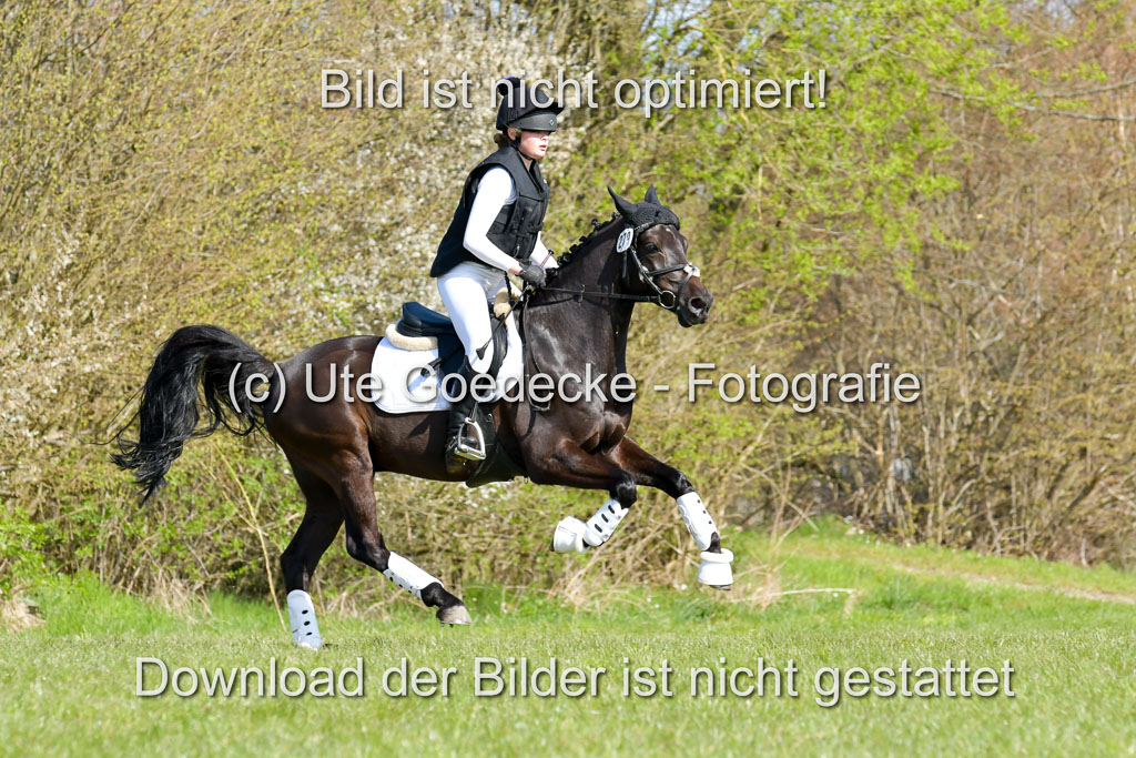 NG Eventing Elmenhorst  21.4.22 | Wittl, Emma - Nightfire_12 