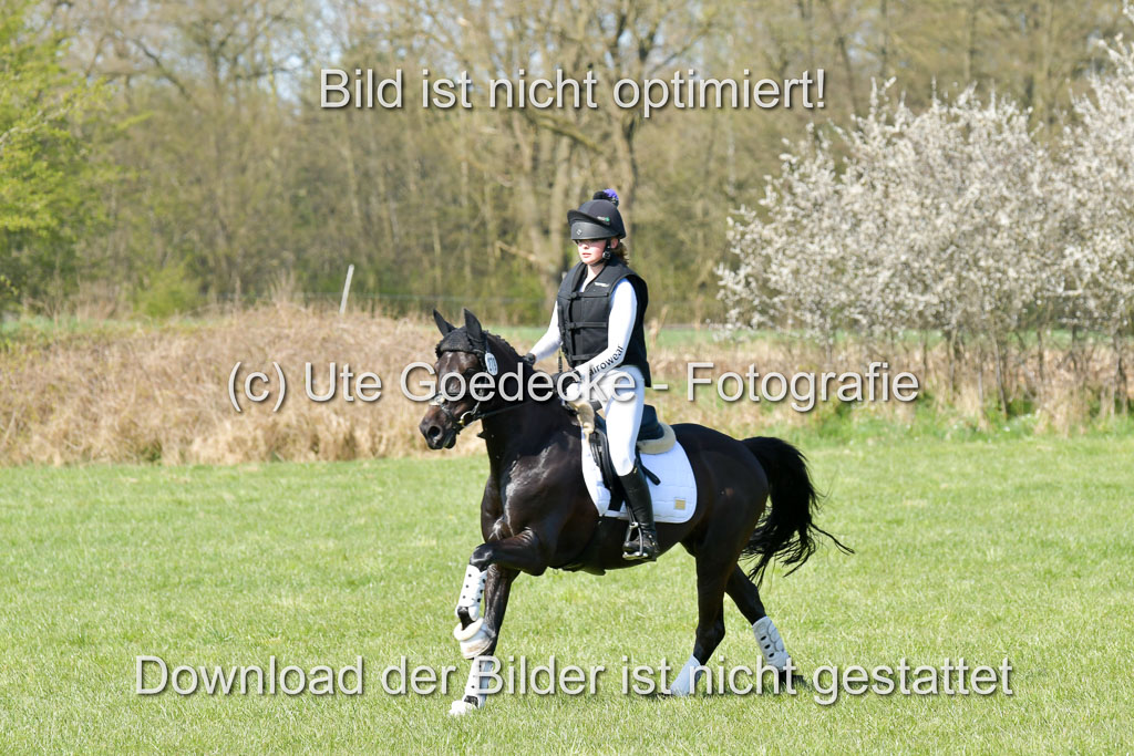 NG Eventing Elmenhorst  21.4.22 | Wittl, Emma - Nightfire_23 