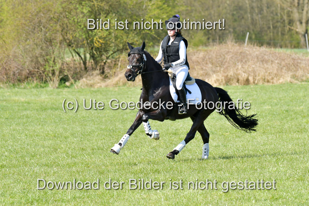 NG Eventing Elmenhorst  21.4.22 | Wittl, Emma - Nightfire_24 