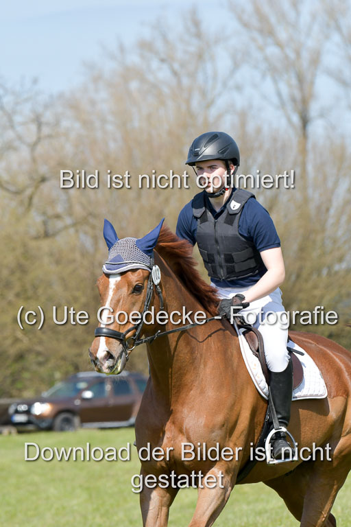 NG Eventing Elmenhorst  21.4.22 | Brandt, Alexander - D Vino_01 