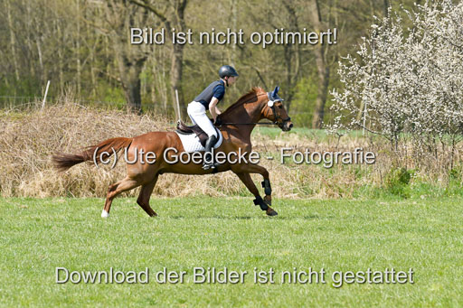 NG Eventing Elmenhorst  21.4.22 | Brandt, Alexander - D Vino_09 