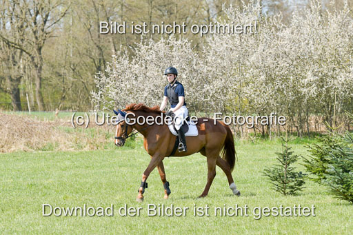 NG Eventing Elmenhorst  21.4.22 | Brandt, Alexander - D Vino 