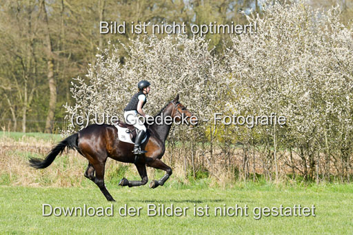 NG Eventing Elmenhorst  21.4.22 | Burger, Christina - Paul_07 