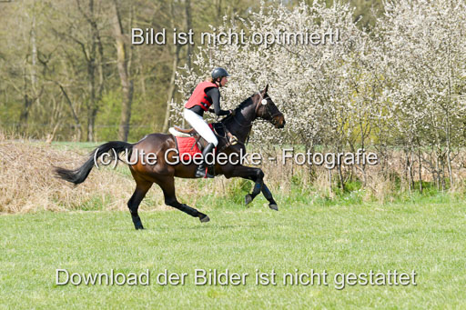 NG Eventing Elmenhorst  21.4.22 | Eickeler, Annika - da Vinci_2 