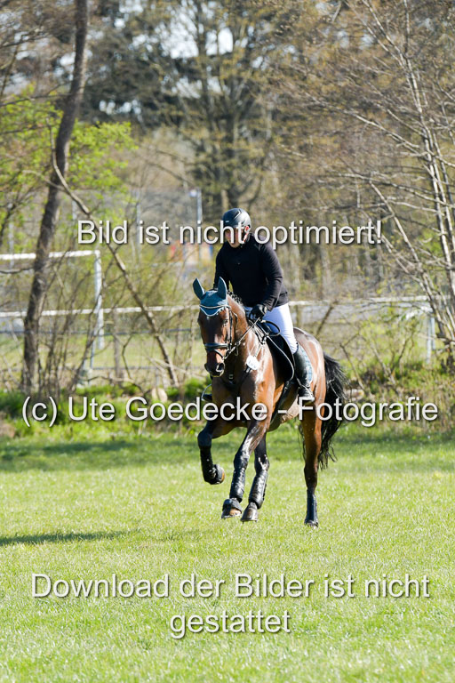 NG Eventing Elmenhorst  21.4.22 | Finck, Enrico - Gemmy K_03 