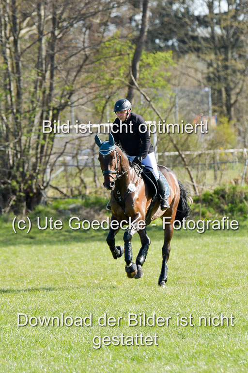 NG Eventing Elmenhorst  21.4.22 | Finck, Enrico - Gemmy K_04 