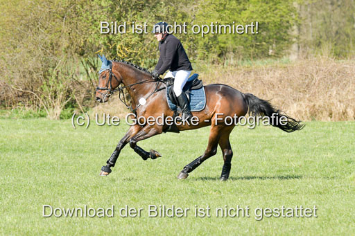 NG Eventing Elmenhorst  21.4.22 | Finck, Enrico - Gemmy K_07 