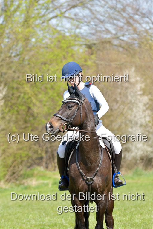 NG Eventing Elmenhorst  21.4.22 | Gamm, nadine - Dees Damara 