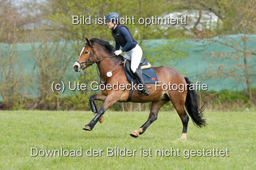NG Eventing Elmenhorst  21.4.22 | Haensel, Sarah - Holla die Waldfee_2 
