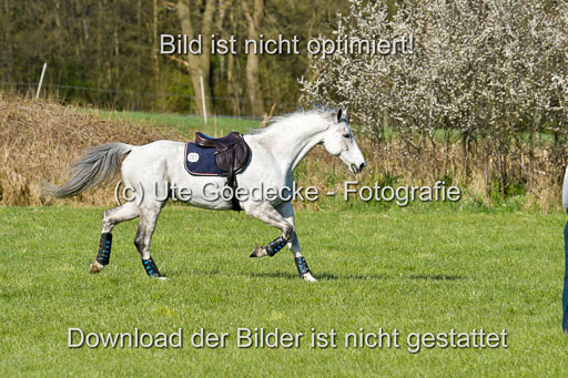 NG Eventing Elmenhorst  21.4.22 | Janßen, Pia - Lord Pico_13 