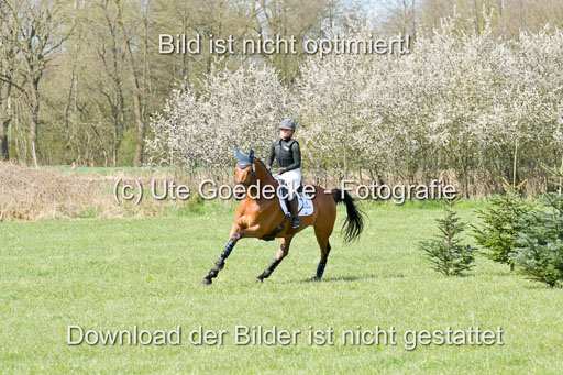 NG Eventing Elmenhorst  21.4.22 | Kienzle , Lena - Camardo _13 