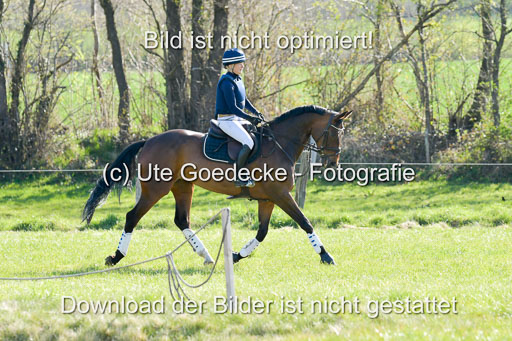 NG Eventing Elmenhorst  21.4.22 | Kirchner-Salzmann, Cathrin - L'Indexa 