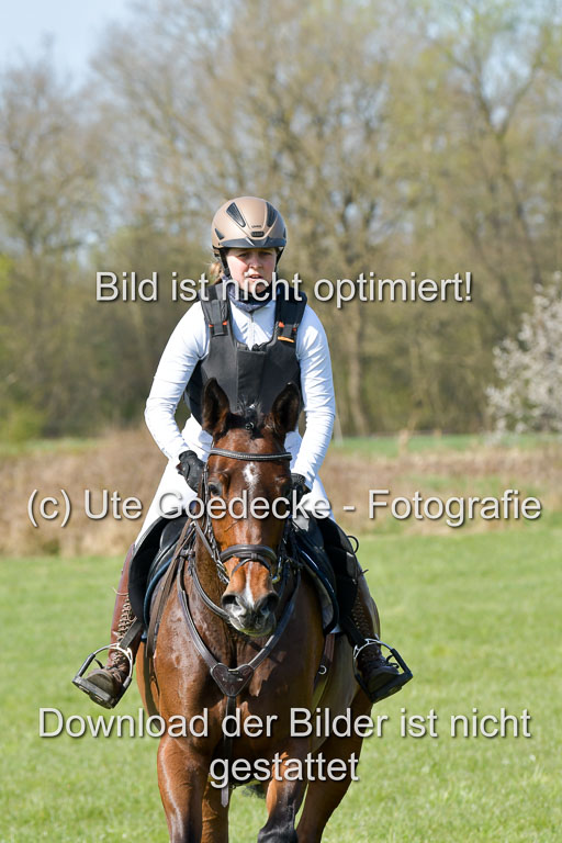 NG Eventing Elmenhorst  21.4.22 | Kuhn, tanja - Thats Luck_05 