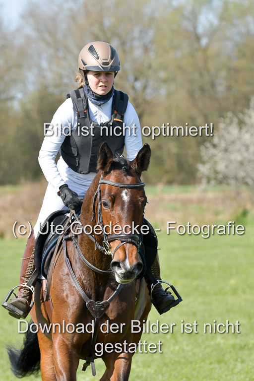 NG Eventing Elmenhorst  21.4.22 | Kuhn, tanja - Thats Luck_06 
