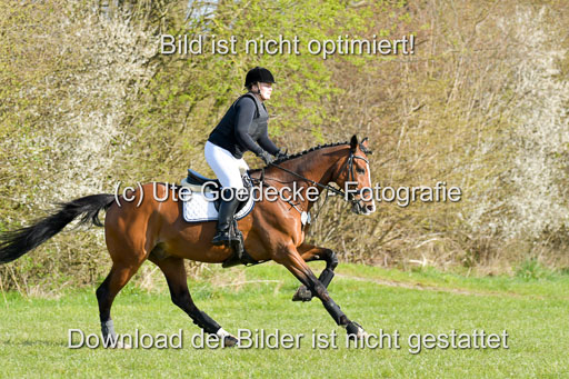 NG Eventing Elmenhorst  21.4.22 | Laamanen, Päivi - Tom Tom Go_04 