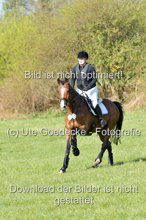 NG Eventing Elmenhorst  21.4.22 | Laamanen, Päivi - Tom Tom Go_12 