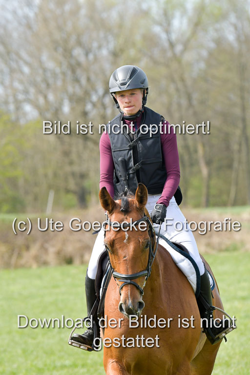 NG Eventing Elmenhorst  21.4.22 | Penndorf, Sandra - Charmeur_01 