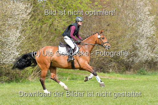 NG Eventing Elmenhorst  21.4.22 | Penndorf, Sandra - Charmeur_03 