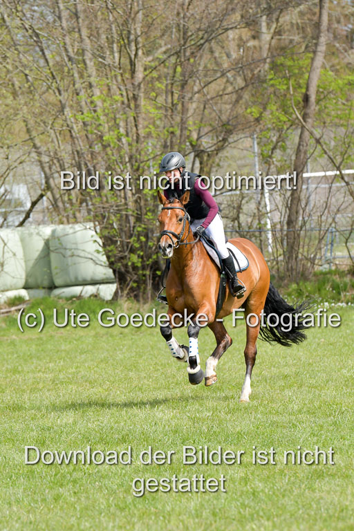 NG Eventing Elmenhorst  21.4.22 | Penndorf, Sandra - Charmeur_07 