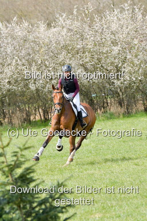 NG Eventing Elmenhorst  21.4.22 | Penndorf, Sandra - Charmeur_11 