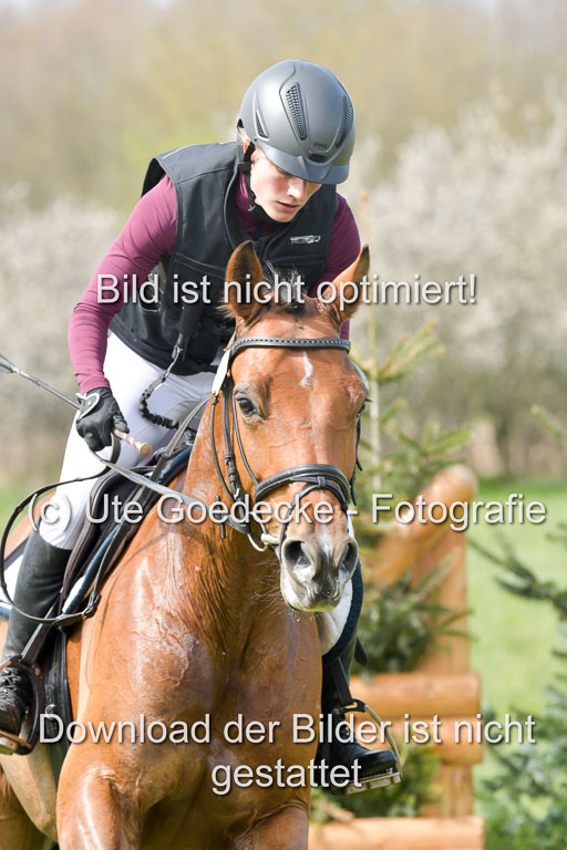 NG Eventing Elmenhorst  21.4.22 | Penndorf, Sandra - Charmeur_13 
