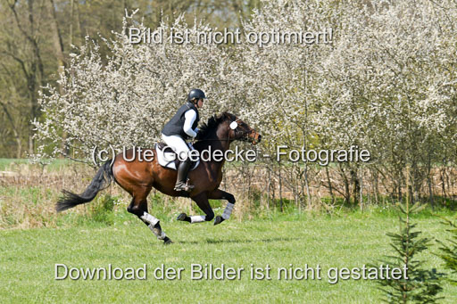 NG Eventing Elmenhorst  21.4.22 | Stöhr, Stella Maria - Catwalker_08 