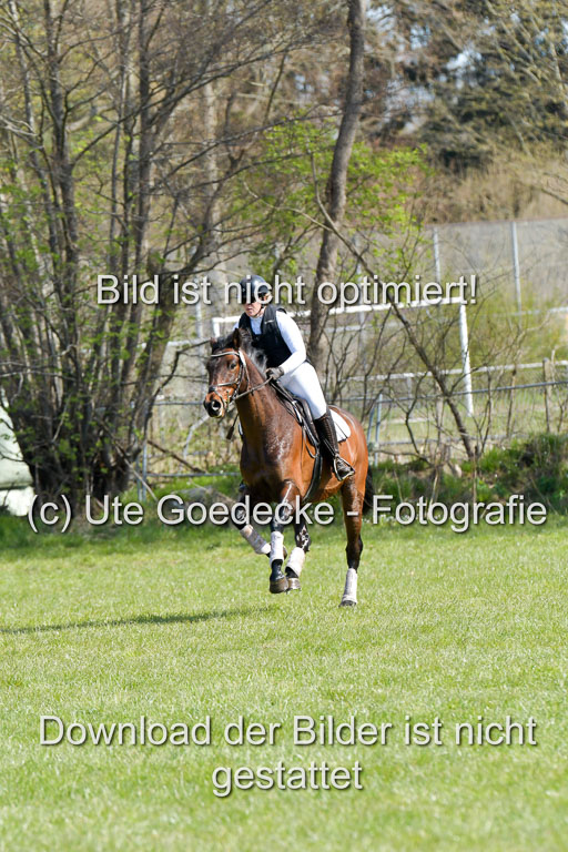 NG Eventing Elmenhorst  21.4.22 | Stöhr, Stella Maria - Catwalker_09 