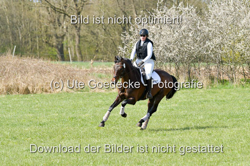 NG Eventing Elmenhorst  21.4.22 | Stöhr, Stella Maria - Catwalker_14 