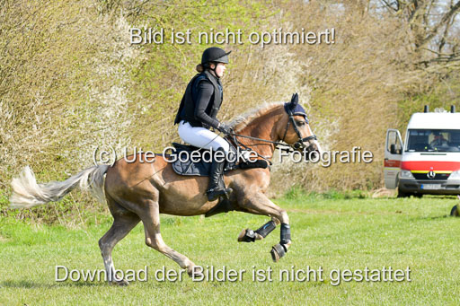 NG Eventing Elmenhorst  21.4.22 | Tauscher, Anna Lara - Andiamo _03 
