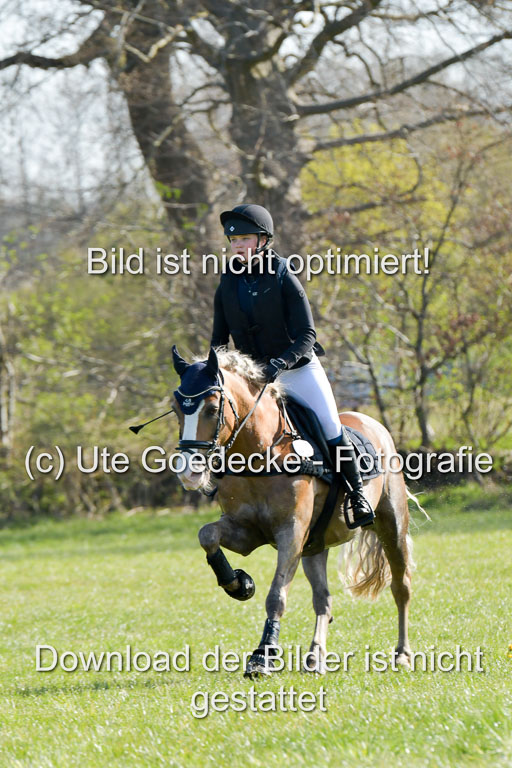 NG Eventing Elmenhorst  21.4.22 | Tauscher, Anna Lara - Andiamo _09 