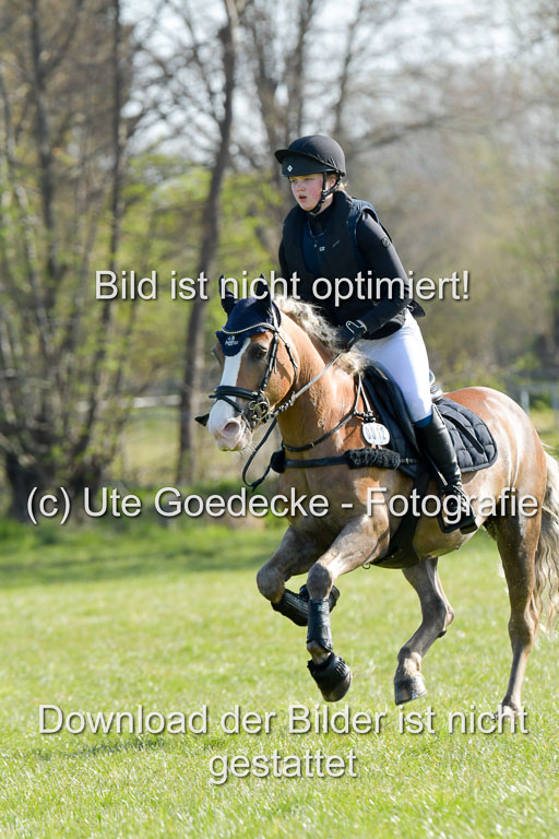 NG Eventing Elmenhorst  21.4.22 | Tauscher, Anna Lara - Andiamo _11 