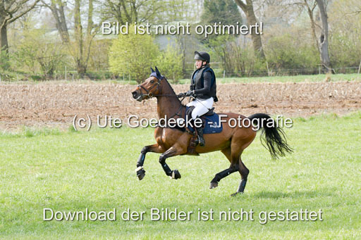 NG Eventing Elmenhorst  21.4.22 | Tauscher, Anna Lara - Rocafina_2 