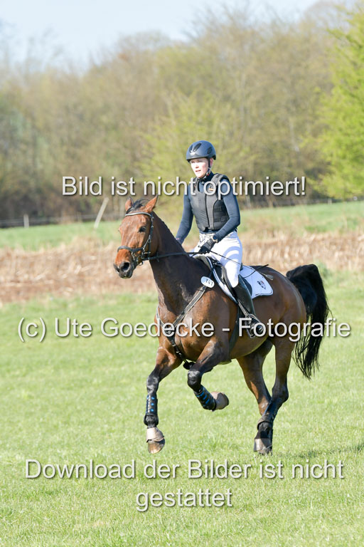 NG Eventing Elmenhorst  21.4.22 | Wehrmann, Ann Christin - Falada_12 