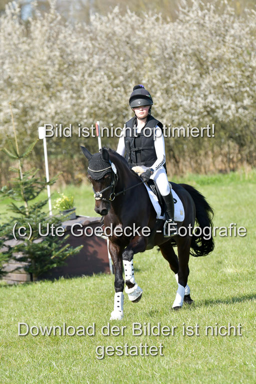 NG Eventing Elmenhorst  21.4.22 | Wittl, Emma - Nightfire_05 