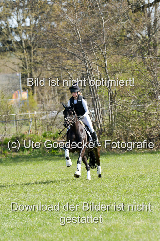 NG Eventing Elmenhorst  21.4.22 | Wittl, Emma - Nightfire_15 