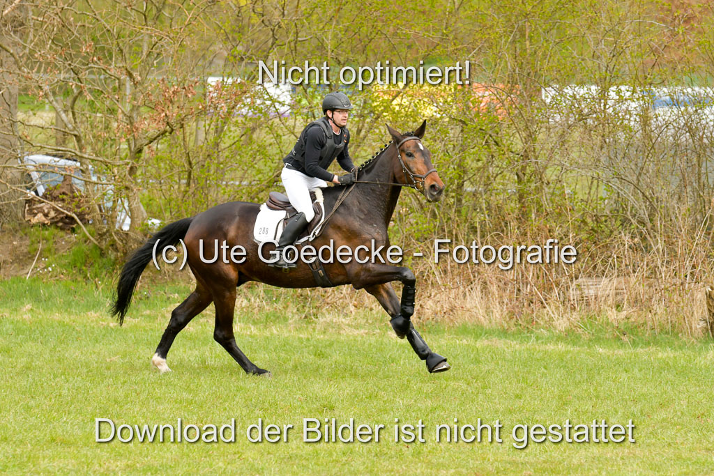 NG Eventing Elmenhorst  21.4.22 | Brehm, Markus - Paul _06 