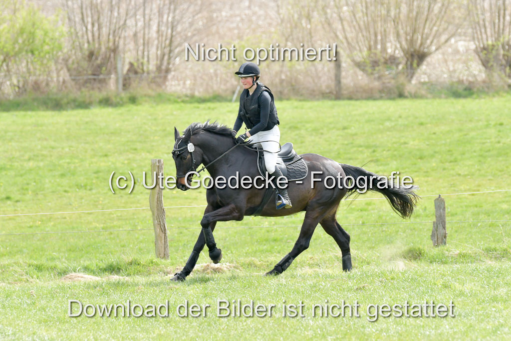 NG Eventing Elmenhorst  21.4.22 | Bürenheide, Emelie - Crunchbob 