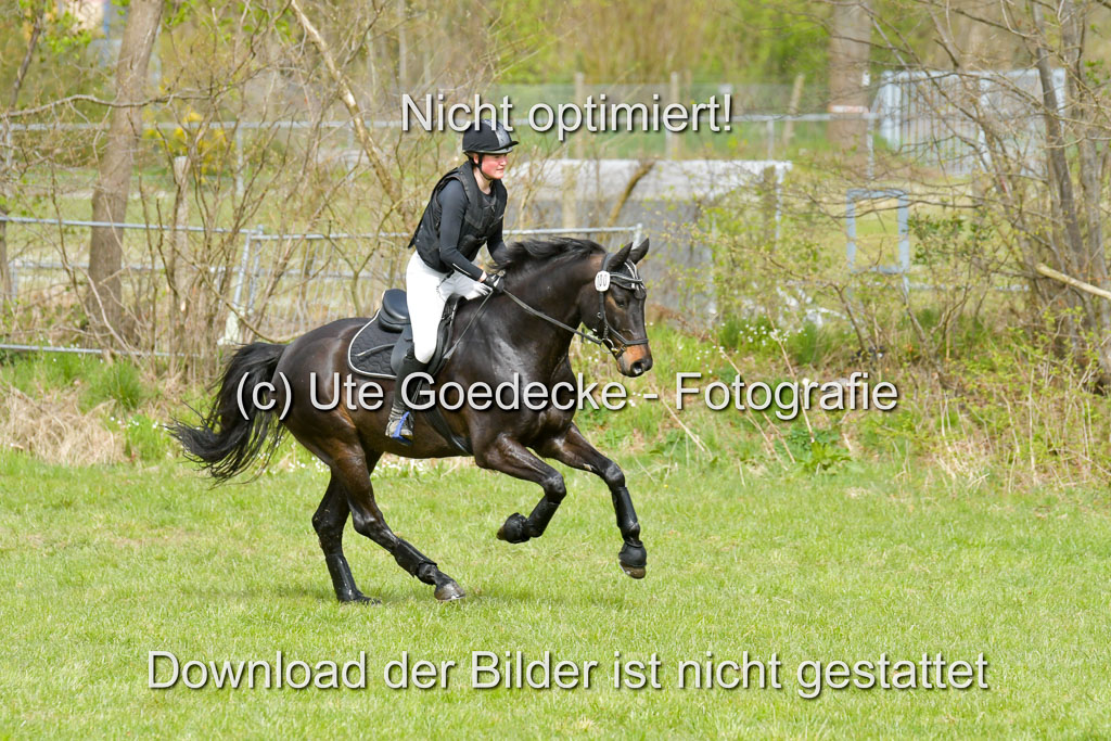 NG Eventing Elmenhorst  21.4.22 | Bürenheide, Emelie - Crunchbob_05 