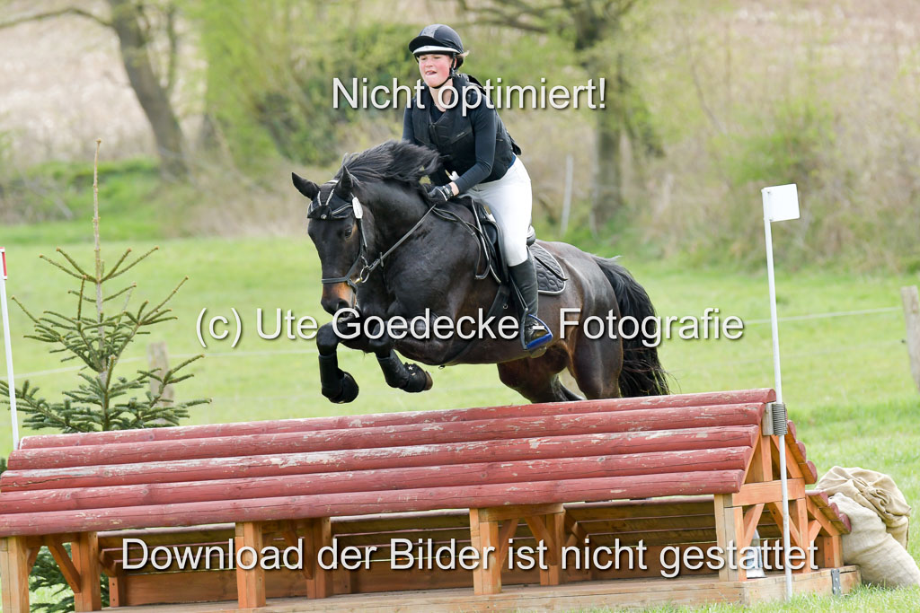 NG Eventing Elmenhorst 21.4.22 | Bürenheide, Emelie - Crunchbob_10