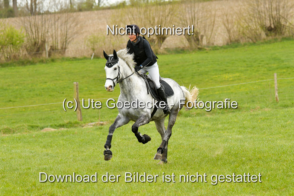 NG Eventing Elmenhorst  21.4.22 | Bürenheide, Marianne - Calomini_21 