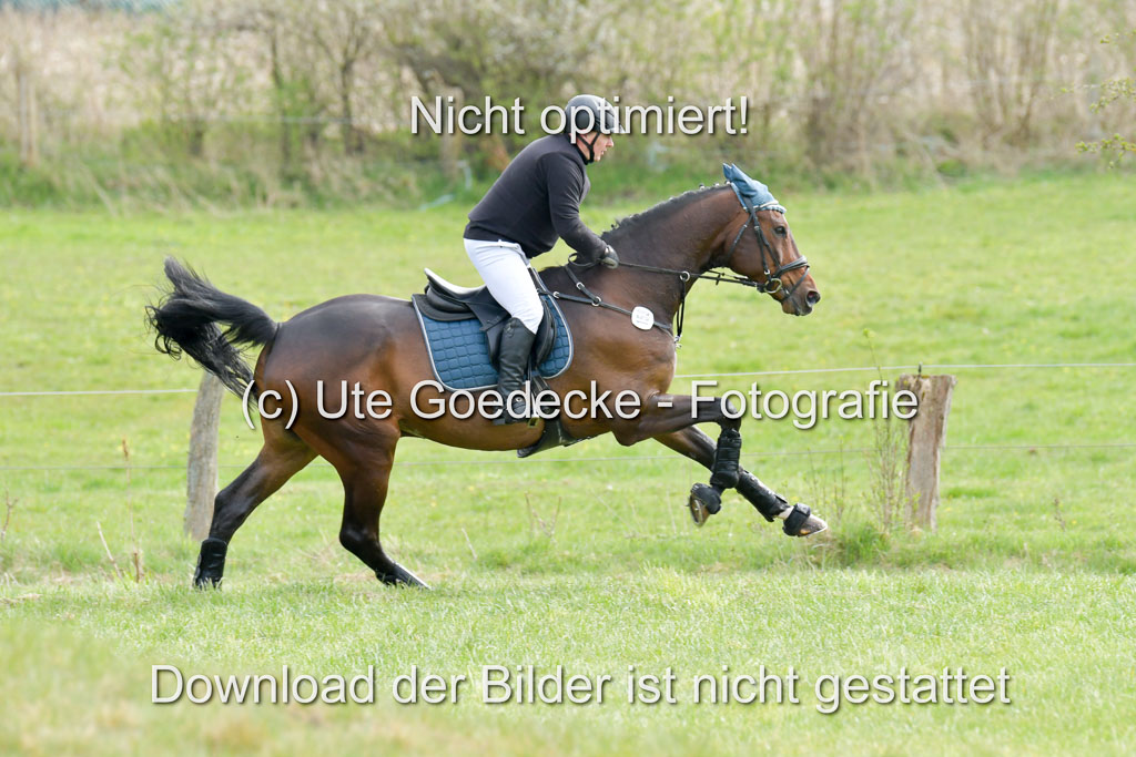 NG Eventing Elmenhorst  21.4.22 | Finck, Enrico - Gemmy _07 