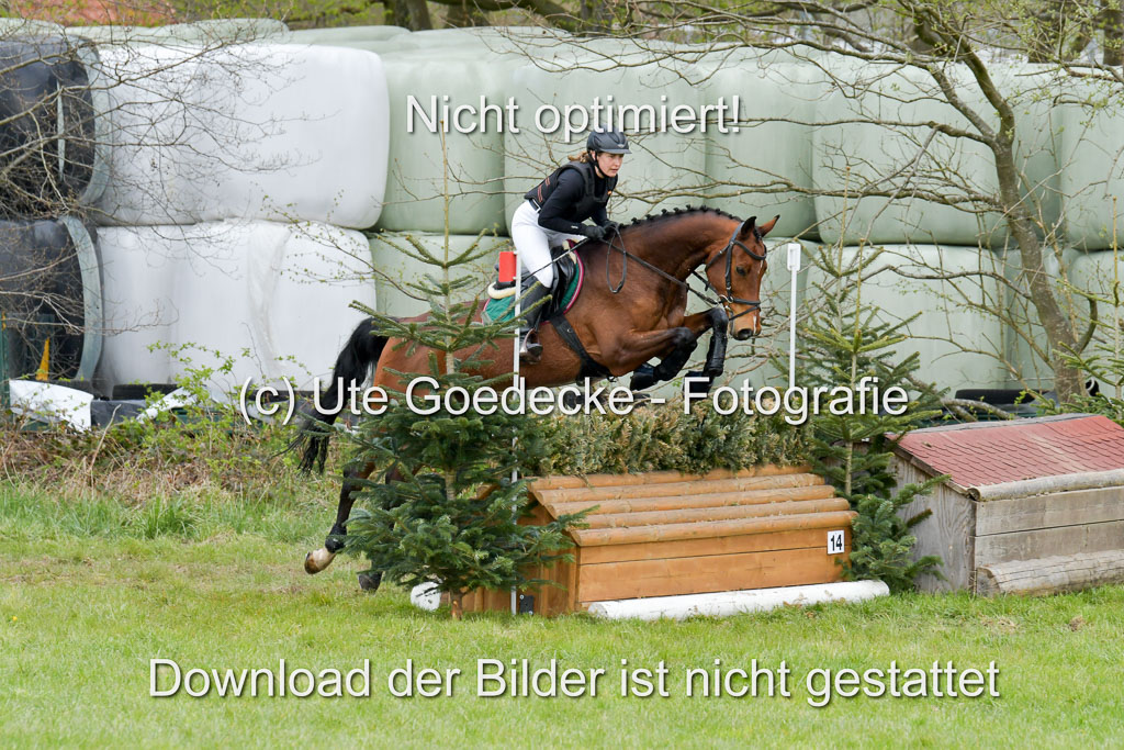 NG Eventing Elmenhorst  21.4.22 | Fleischer, Vanessa - Half past seven_04 