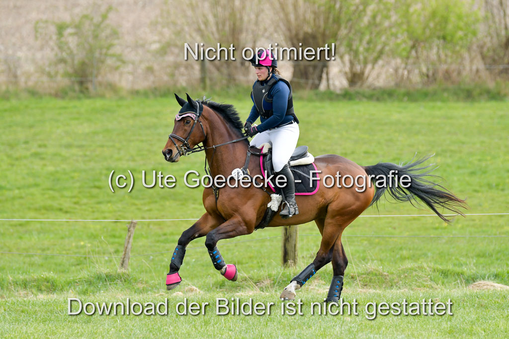 NG Eventing Elmenhorst  21.4.22 | Frank, Sarah - Gloriuos Date 